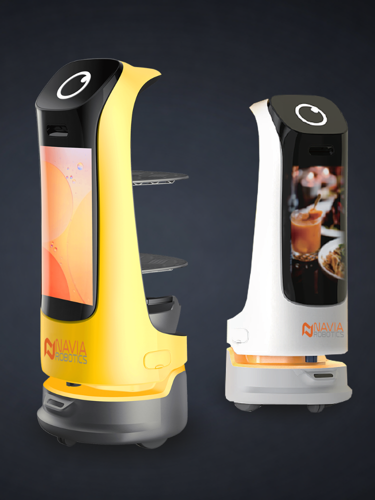 Robotech Co - Robot De Service - Bordeaux